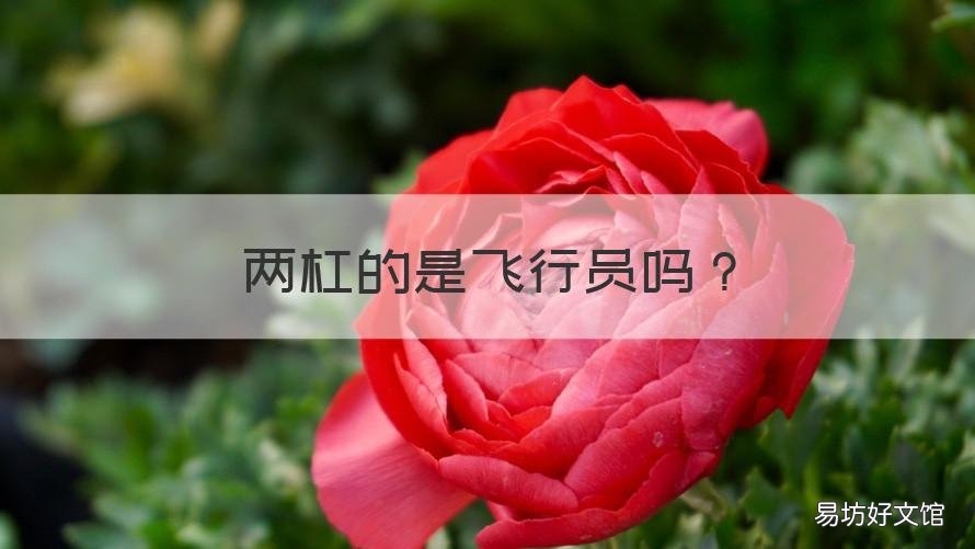 两杠的是飞行员吗 飞行员双杠