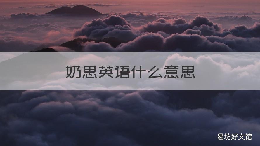 奶思英语什么意思 奶思英语怎么说