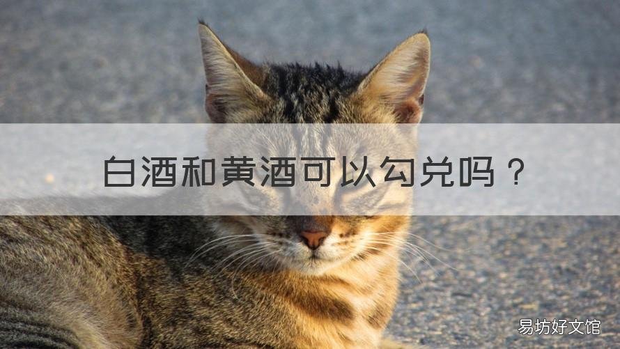 白酒和黄酒可以勾兑吗 黄酒也勾兑吗