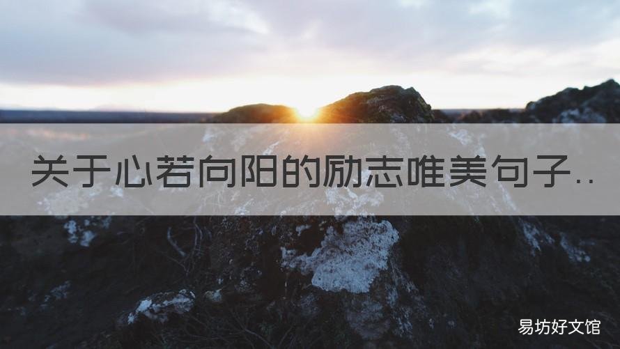 关于心若向阳的励志唯美句子 心若向阳的励志的句