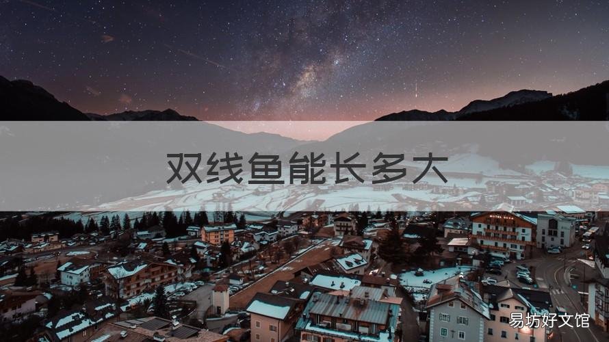 双线鱼能长多大 热带鱼双线能长多大