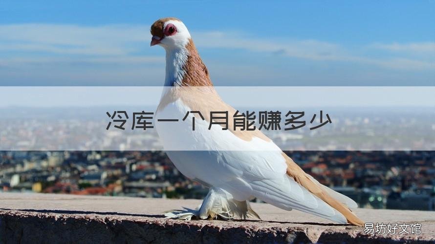 冷库一个月能赚多少 冷库一个月能赚多少钱