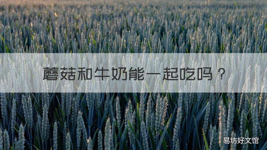 蘑菇和牛奶能一起吃吗 牛奶跟蘑菇可以一起吃吗