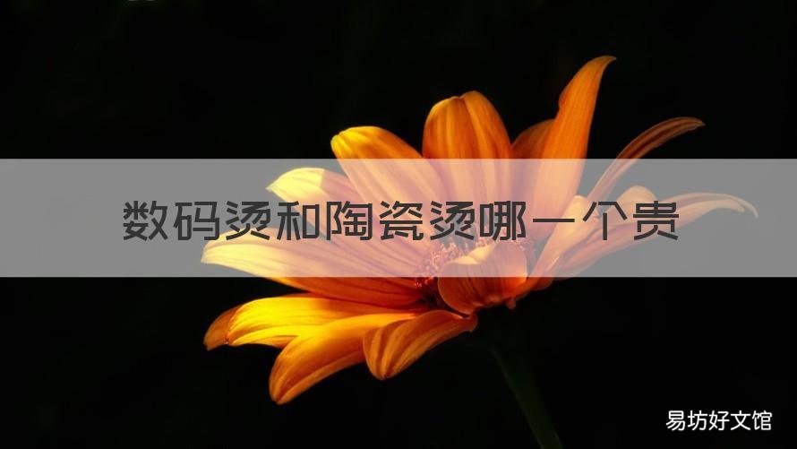 数码烫和陶瓷烫哪一个贵 热烫和陶瓷烫哪个贵
