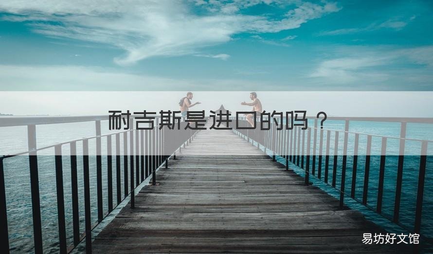 耐吉斯是进口的吗 耐吉斯产地