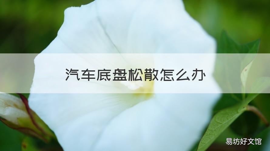 汽车底盘松散怎么办 汽车底盘松了怎么办