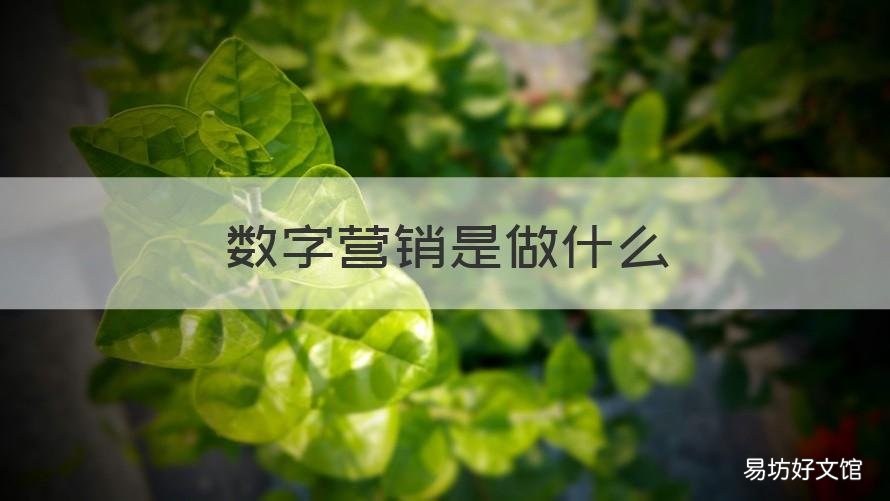 数字营销是做什么 数字营销是做什么用的