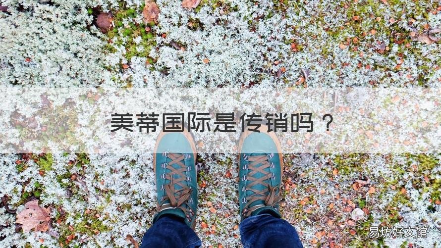 美蒂国际是传销吗 美蒂国际是不是传销贵不贵