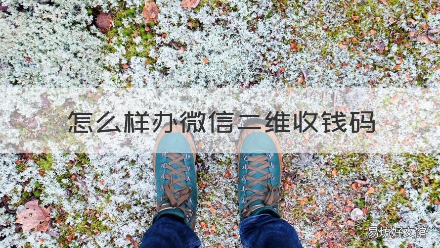 怎么样办微信二维收钱码 怎么在微信上收钱二维码