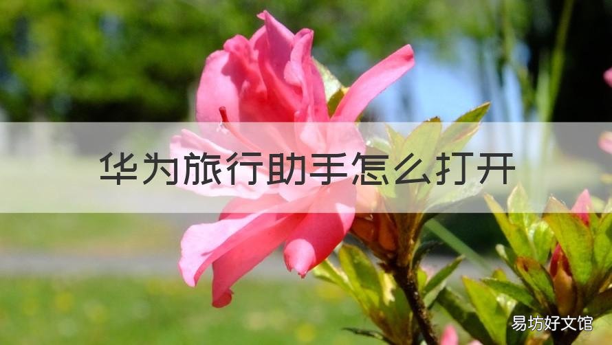 华为旅行助手怎么打开 华为旅行助手怎么打开摄像头