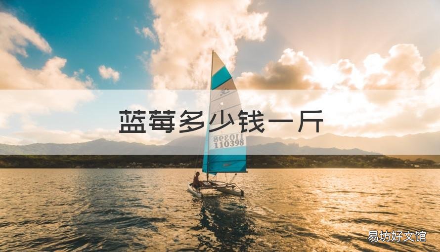 蓝莓多少钱一斤 新鲜蓝莓多少钱一斤