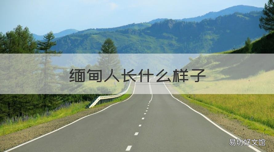 缅甸人长什么样子 缅甸人面貌图片