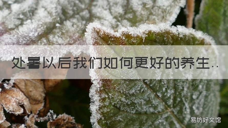 处暑以后我们如何更好的养生 处暑后养生小知识