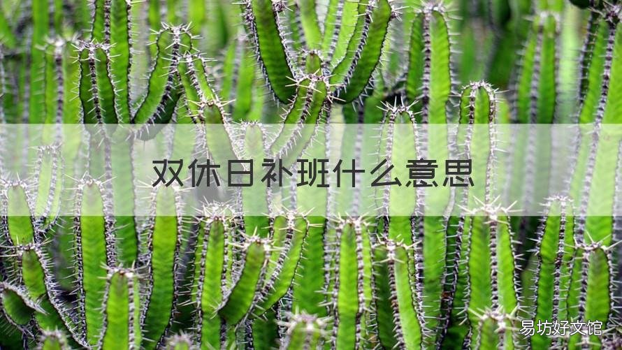 双休日补班什么意思 公休日补班