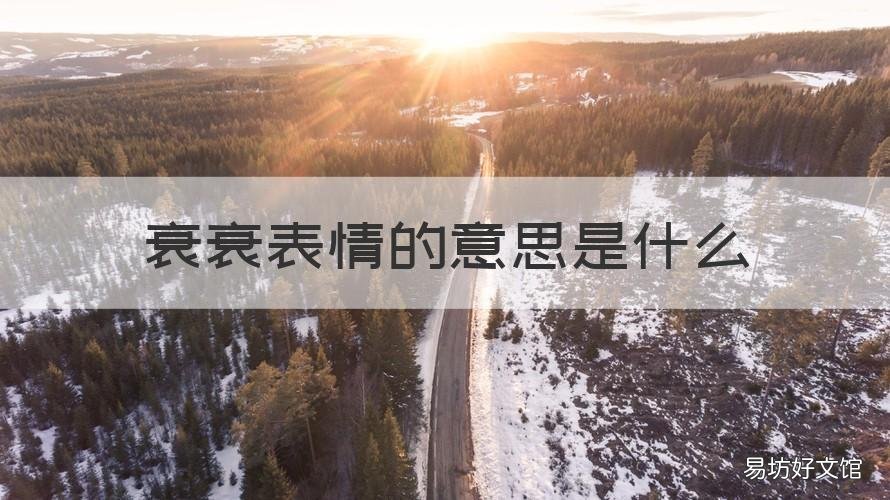 衰衰表情的意思是什么 比较衰的表情