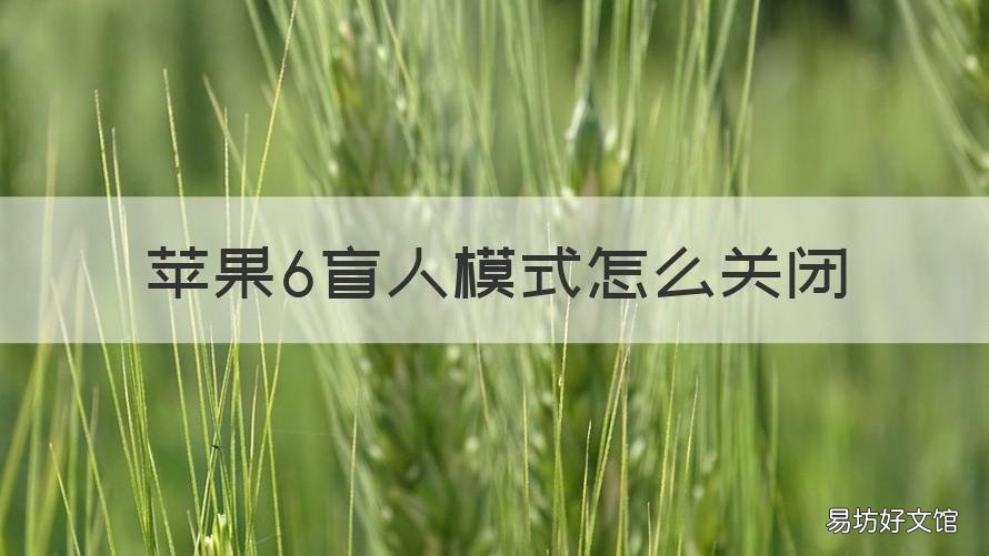 苹果6盲人模式怎么关闭 苹果盲人模式怎么关闭按三下