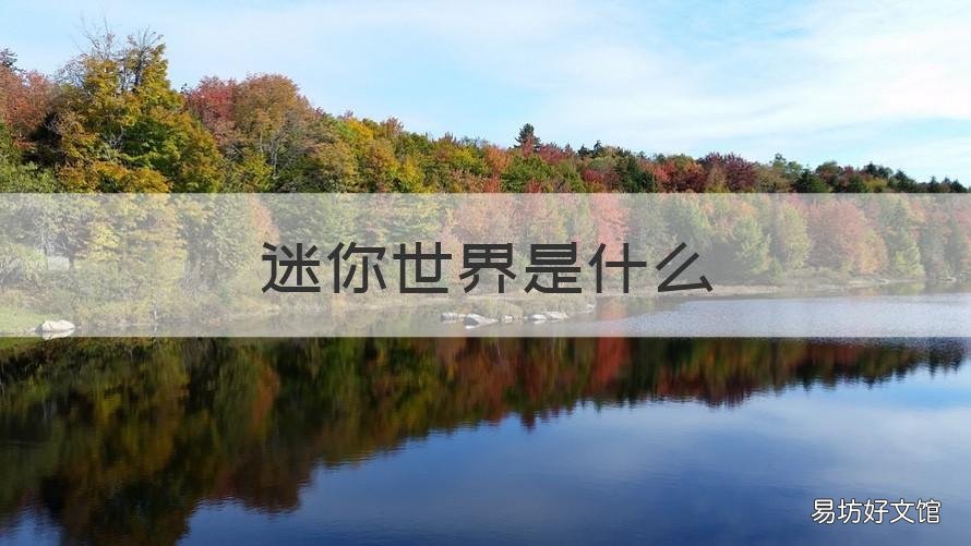 迷你世界是什么 迷你世界是什么国家的