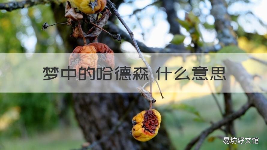 梦中的哈德森 什么意思 梦中哈德森是什么