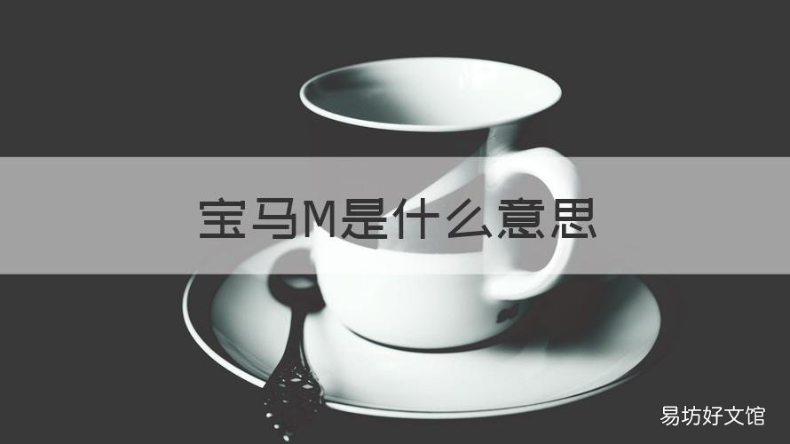 宝马M是什么意思 宝马M的意思