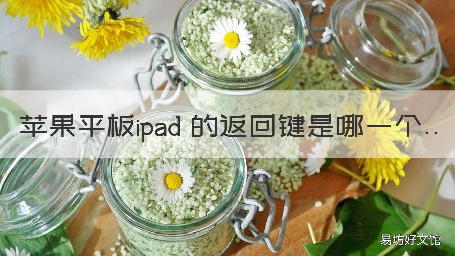 苹果平板ipad 的返回键是哪一个 ipad中返回键是哪个