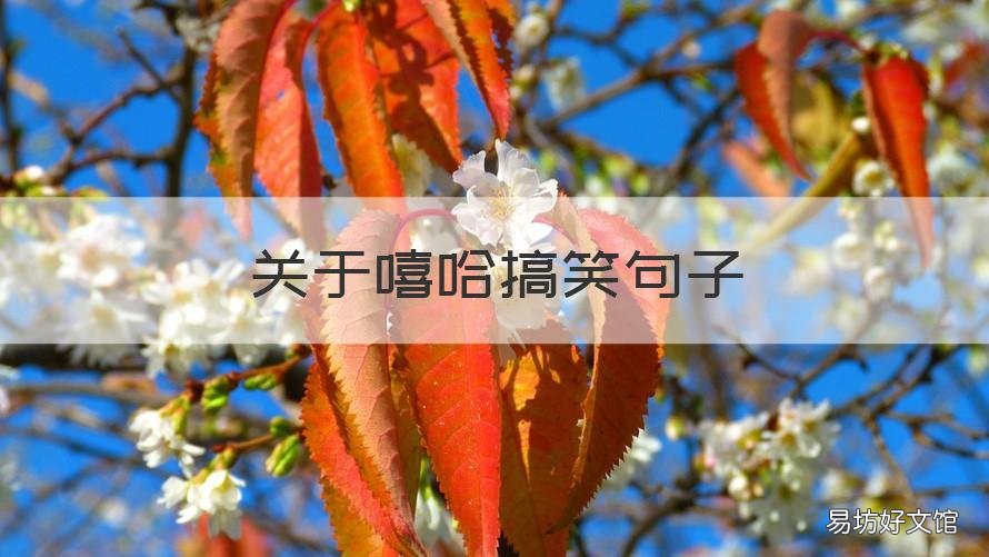 关于嘻哈搞笑句子 关于嘻哈搞笑句子大全