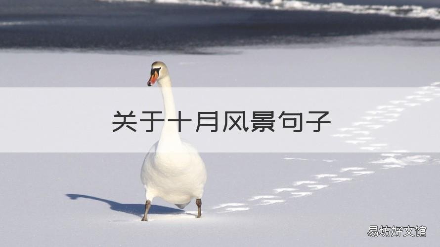 关于十月风景句子 十月的风景怎么形容