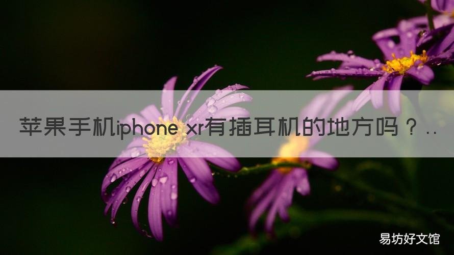 苹果手机iphone xr有插耳机的地方吗 苹果xr手机插耳机的地方在哪里