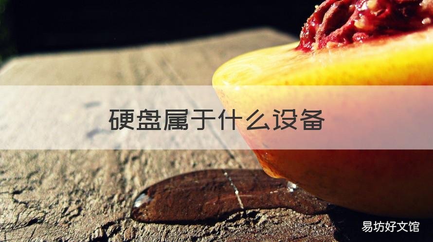 硬盘属于什么设备 硬盘属于什么设备类型