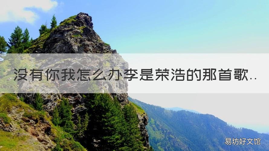 没有你我怎么办李是荣浩的那首歌 你要我怎么办李荣浩