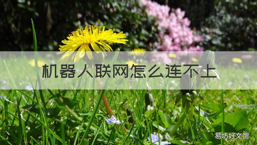 机器人联网怎么连不上 机器人怎么连不上网呢