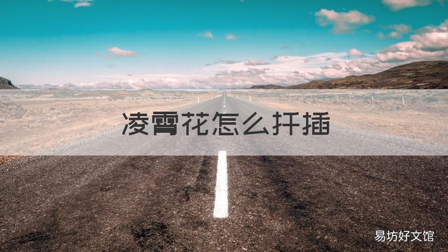 凌霄花怎么扦插 凌霄花扦插枝条能活吗