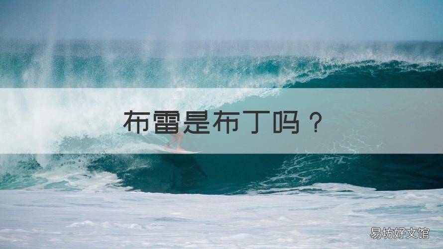 布雷是布丁吗 布丁和布雷