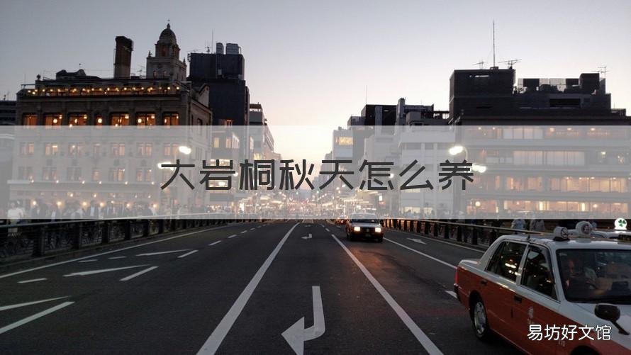 大岩桐秋天怎么养 大岩桐放在哪里养的好