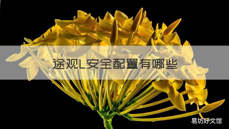 途观L安全配置有哪些 途观L 安全