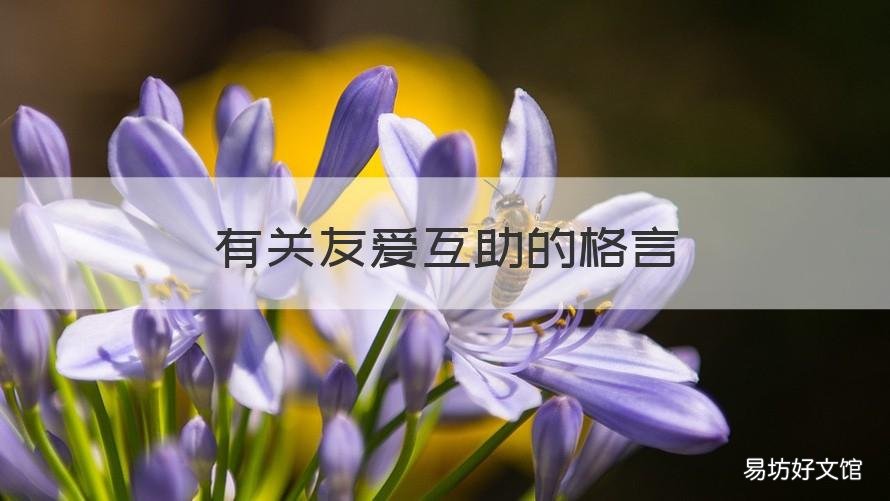 有关友爱互助的格言 友爱互助的佳句