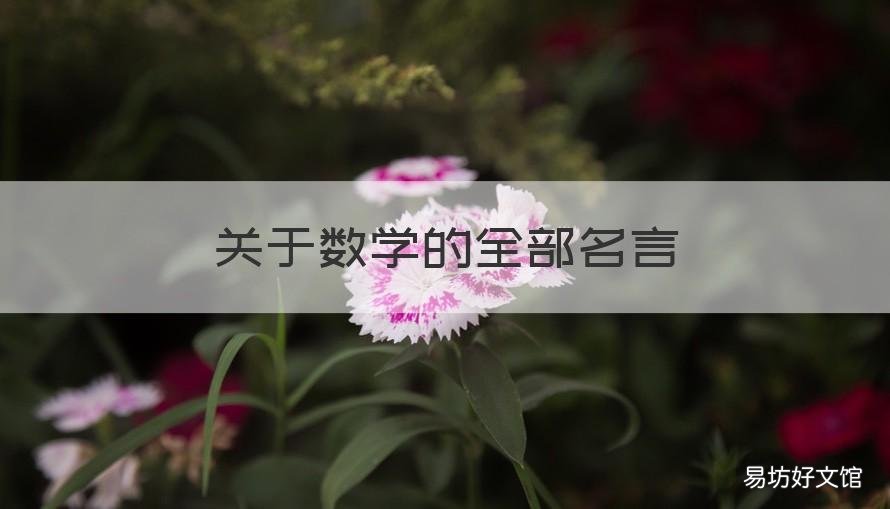 关于数学的全部名言 关于数学的全部名言名句