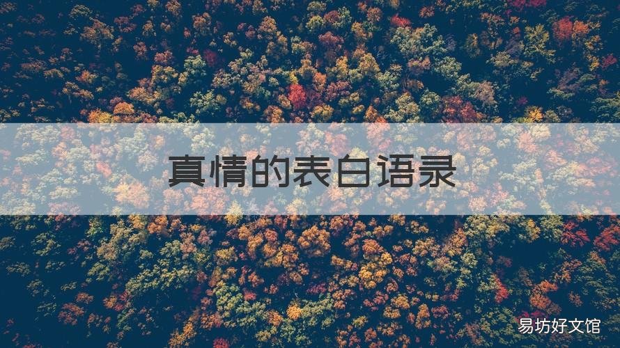 真情的表白语录 真情的表白语录图片