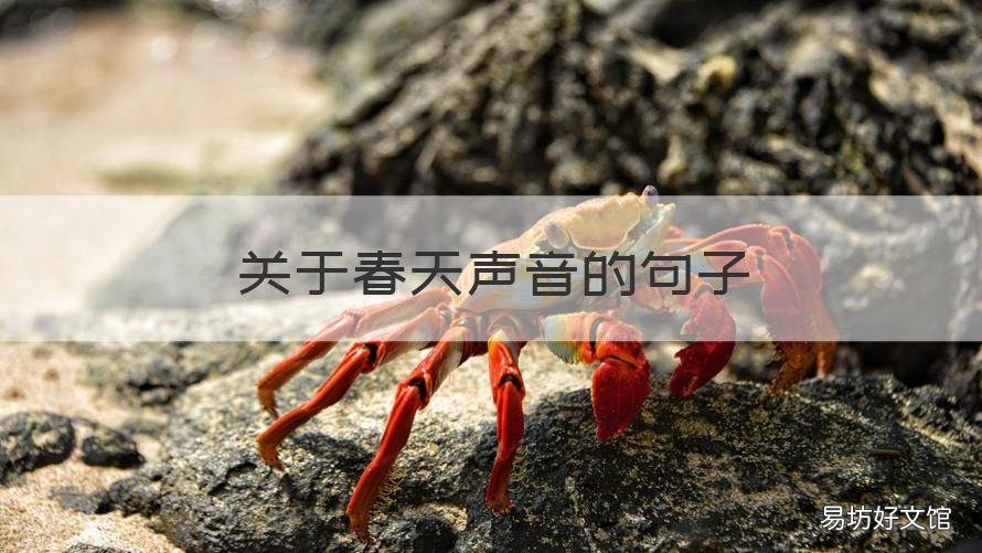 关于春天声音的句子 春天的声音的句子