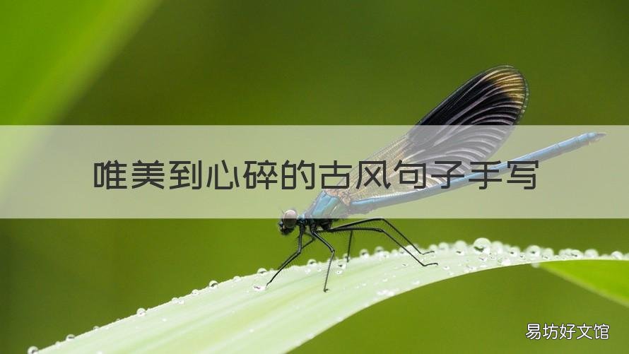 唯美到心碎的古风句子手写 唯美到心碎的古风句子手写图片