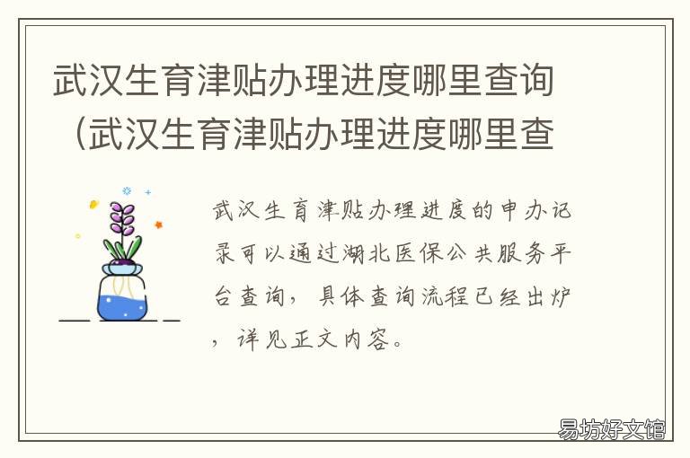 武汉生育津贴办理进度哪里查询 武汉生育津贴办理进度哪里查的