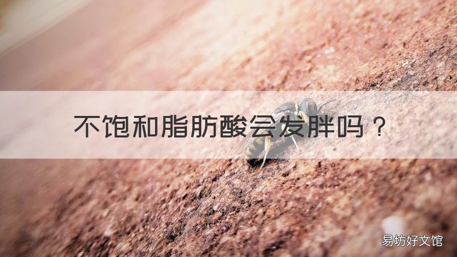 不饱和脂肪酸会发胖吗 饱和性脂肪酸会发胖吗