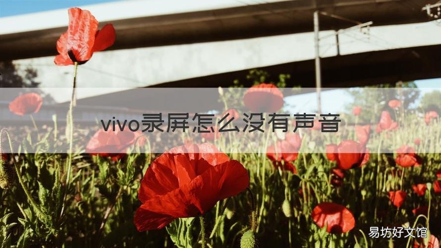 vivo录屏怎么没有声音 为什么vivo录屏没有声音