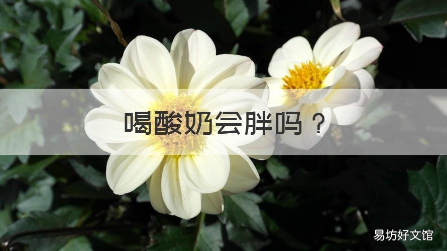 喝酸奶会胖吗 大晚上喝酸奶会胖吗