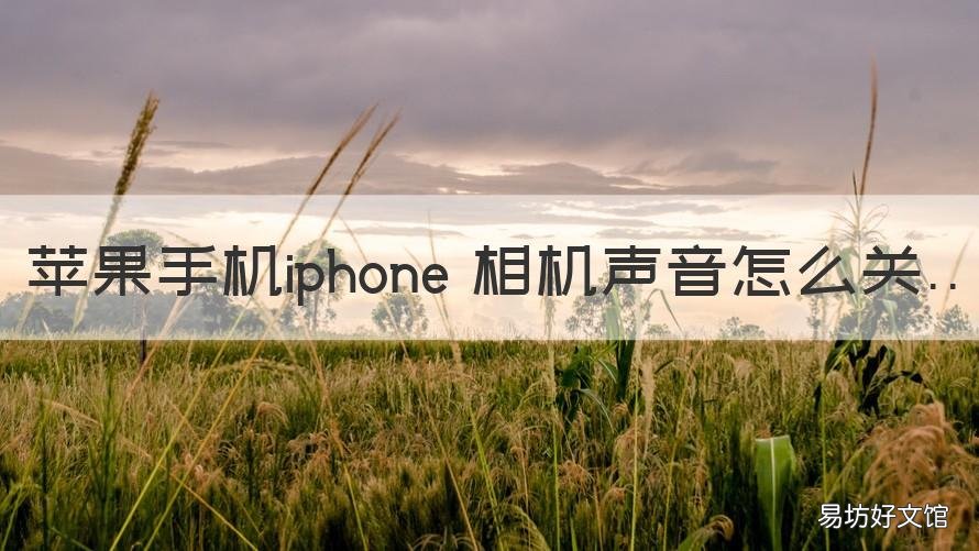苹果手机iphone 相机声音怎么关 苹果手机怎么关相机声音了