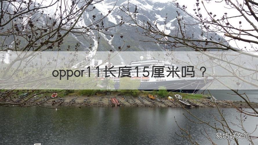 oppor11长度15厘米吗 OPPOr15的长度