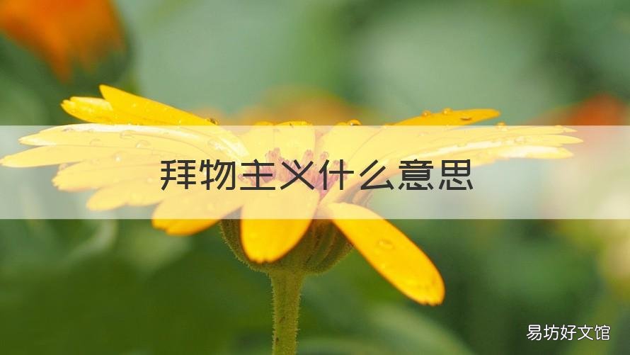 拜物主义什么意思 拜物主义大概什么意思