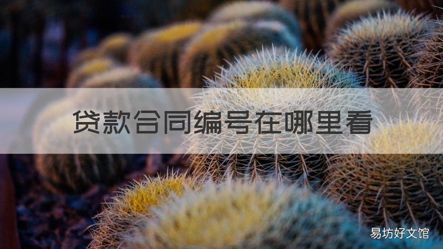 贷款合同编号在哪里看 房子的贷款合同编号在哪里看