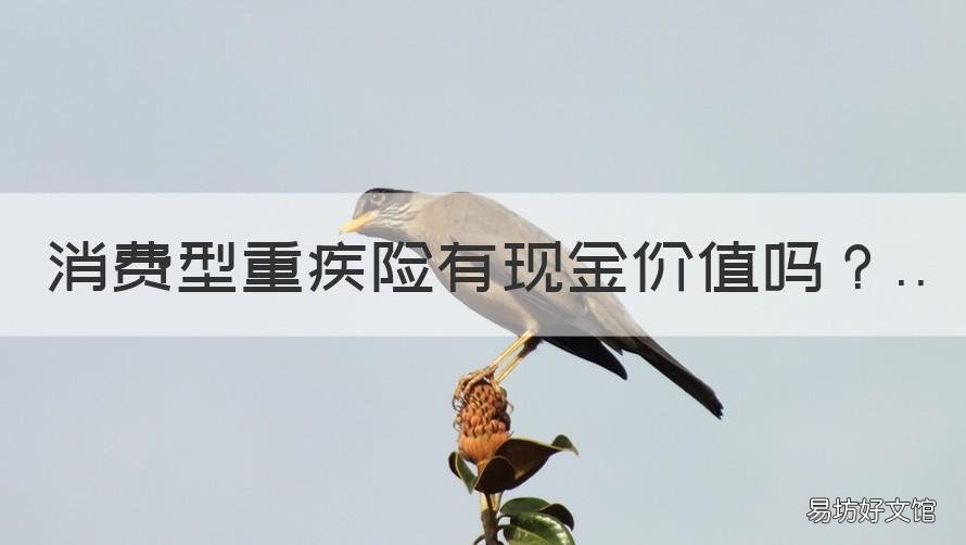 消费型重疾险有现金价值吗 重疾险现金价值为什么越来越少