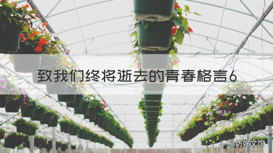 致我们终将逝去的青春格言6 致我们终将逝去的青春语录经典语录