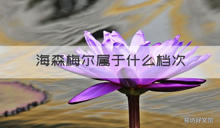 海森梅尔属于什么档次 海森梅尔牌子大吗